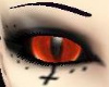 (Cy) orange cats eyes