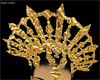 Golden Akasha Crown