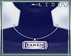 :L: Taken Away Necklace