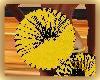 ~TQ~yellow black pom pom