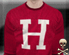 ☠ H-Sweater ☠