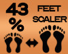 Feet Scaler 43%