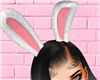 Bunny ears HD