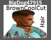 [BD]BrownCoolCutHair