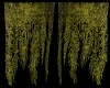 Animated Moss Curtains