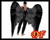 Wing Black Angel F/M