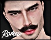 French Mustache Rose MH