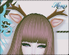HI ◄ Deer ►