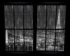 Rainy Window View Paris