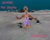 SHARK! Pet Sharks