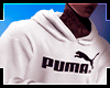 Hoodie PMA