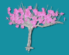Pink Foliege Tree