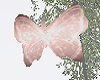 Light Pink Butterflies