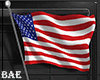B| July 4th Flag L
