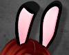 A | Bunny Ears B V2