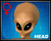 Alien Head (Any Skin) F