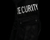 [DS] Security Cargo