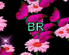 Butterflies,Flowers Ligh