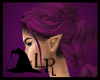 LR| Sibelia Purplish