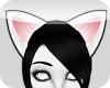{s} White Cat Ears