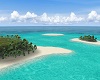 * Paradise Ocean Island