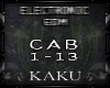 [K] Electronic / EDM