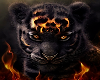 🔥🐯 Fire Tiger BG