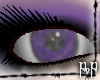 [PoP]The Raven Eyes