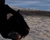 DJ Black Panter