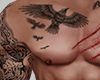 Bad boy Tattoo+ muscle