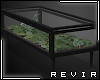 R║ Terrarium Tabe