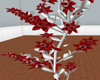 White and red Vine