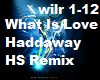 What Is Love HS Remix
