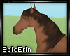 [E]*Light Brown Horse*