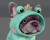 Frog Frenchie