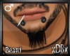 DB* Beard.v3*