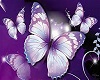 purple butterfly room