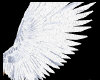 Angel Wings BLack&White