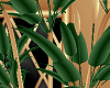 [AG] --'opolis plant 4