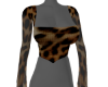 [GM] Cheetah Crop