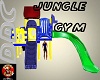 DDC Jungle Gym 