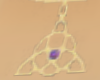 Triquetra gold/red