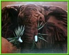 JMR African Elephant