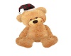 Christmas Bear No Pose