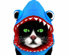 Shark Cat Black White Pe