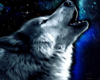 Howling Wolf Pic