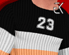 Tricolor wool sweater v1