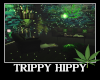 Trippy Hippy