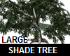 LARGE SHADE TREE w/DECK