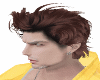 HAIR  HANDSOME MEN RED